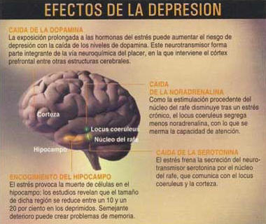 http://www.portalesmedicos.com/revista-medica/wp-content/uploads/1-efectos-depresion.jpg